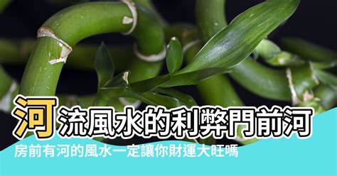 竹林 風水|房子門前有竹林會影響風水嗎 有什麼講究